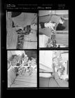 Transmitter series; African violets (4 Negatives) (January 20, 1958) [Sleeve 38, Folder a, Box 14]